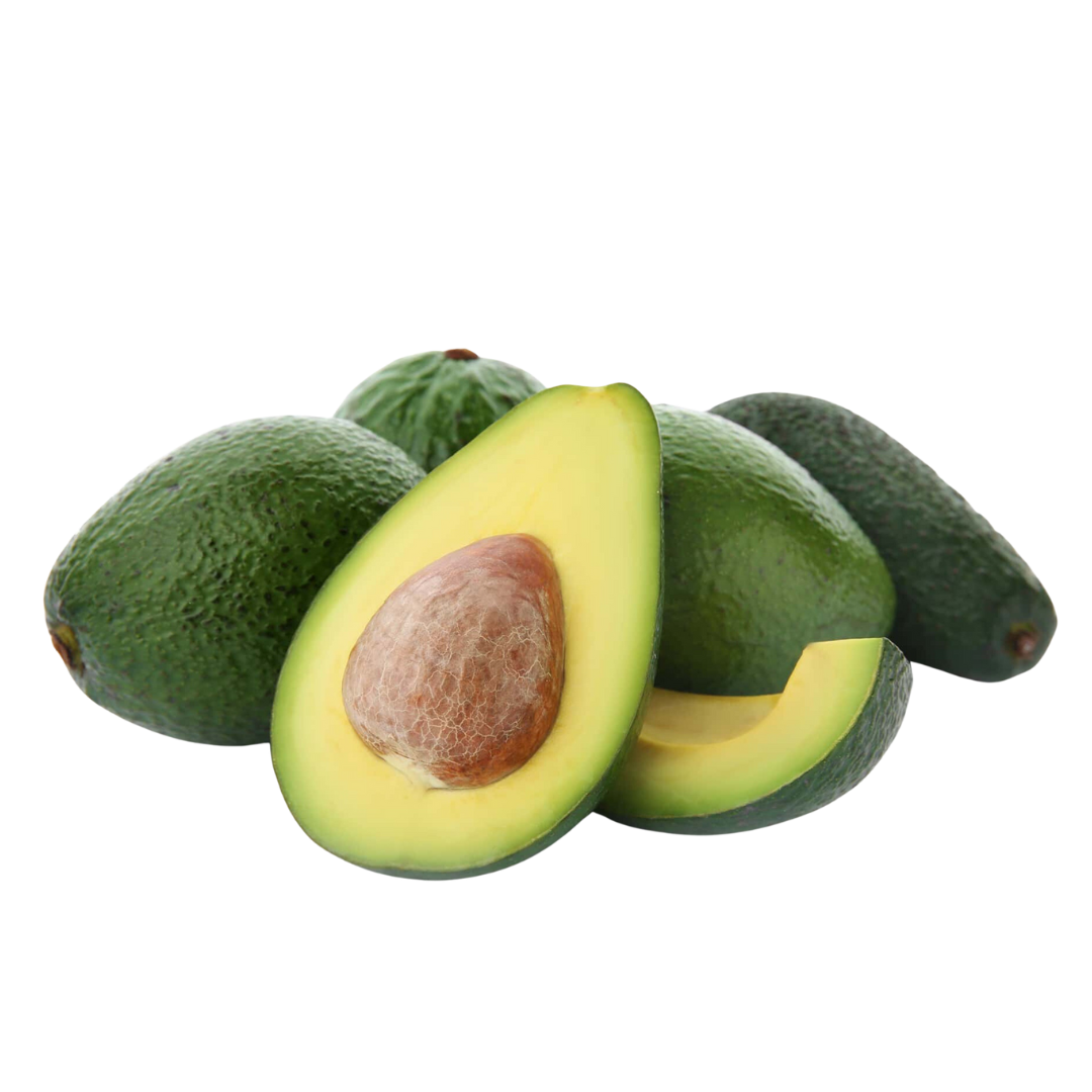 Alpukat Aligator Premium